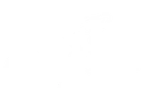 adel_digital_200x157